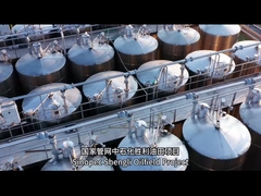 Một số ví dụ về các dự án container thành công là gì?